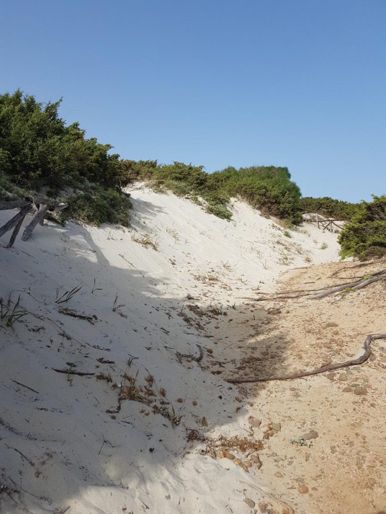 dune sabbia spiaggia di campulongu villasimisu vojagon